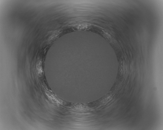 X0000080190962200612081423