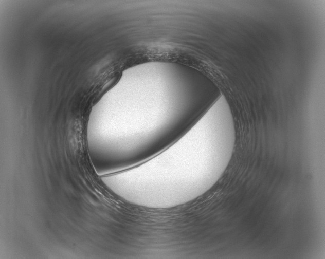X0000080190964200612081423