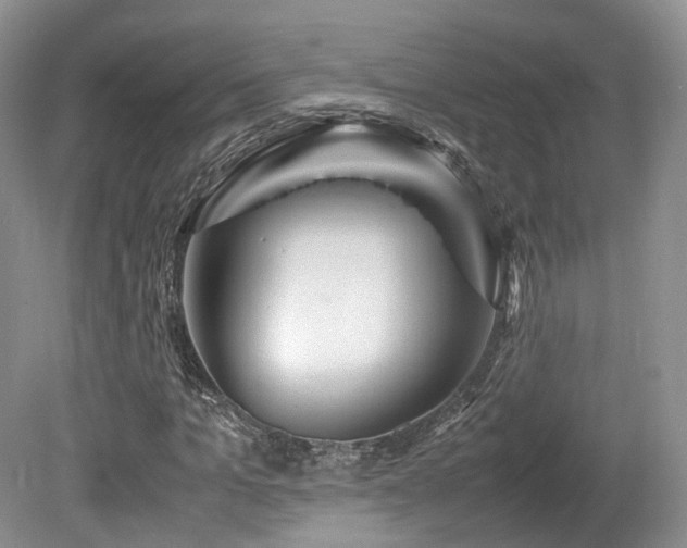 X0000080190965200612081423