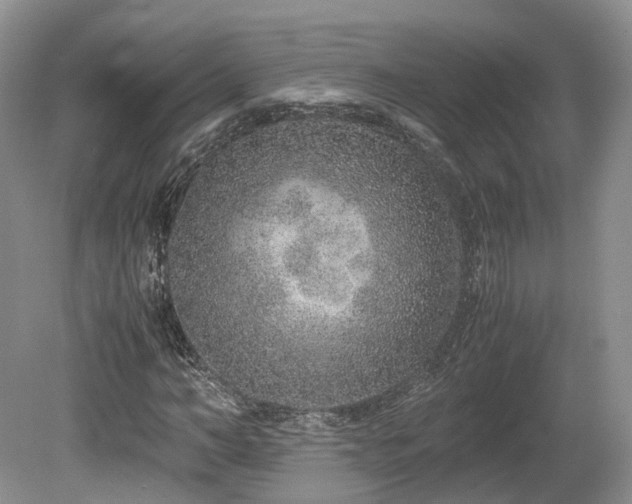 X0000080190966200612081423