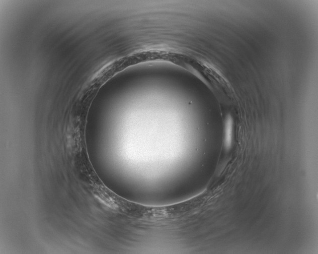 X0000080190968200612081423