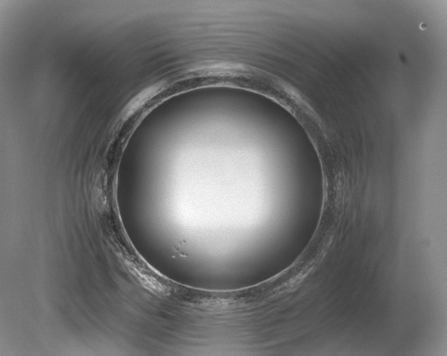 X0000080190970200612081423