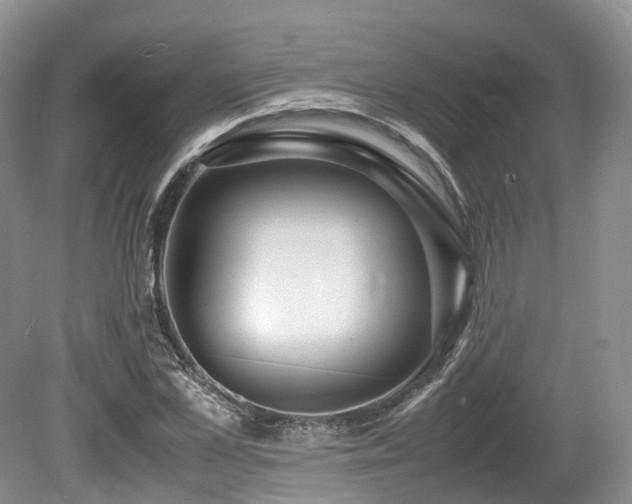 X0000080190973200612081423