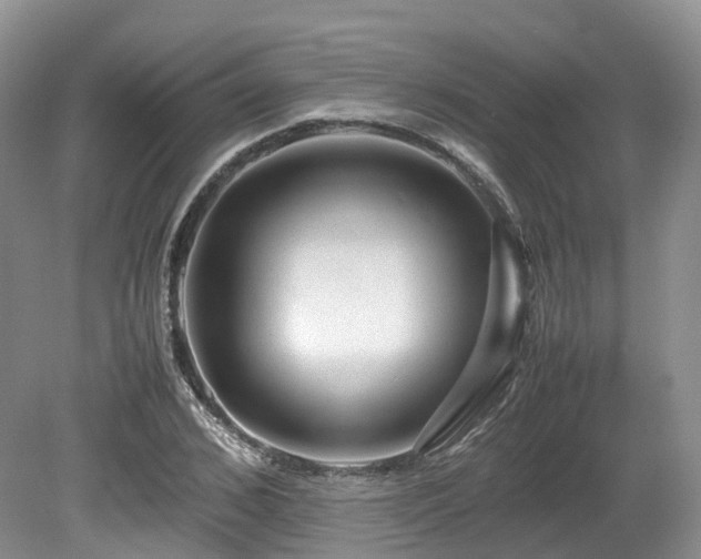 X0000080190976200612081423