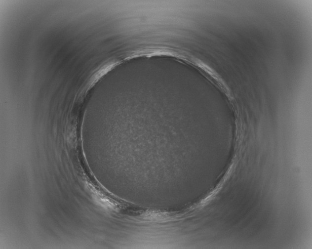 X0000080190977200612081423