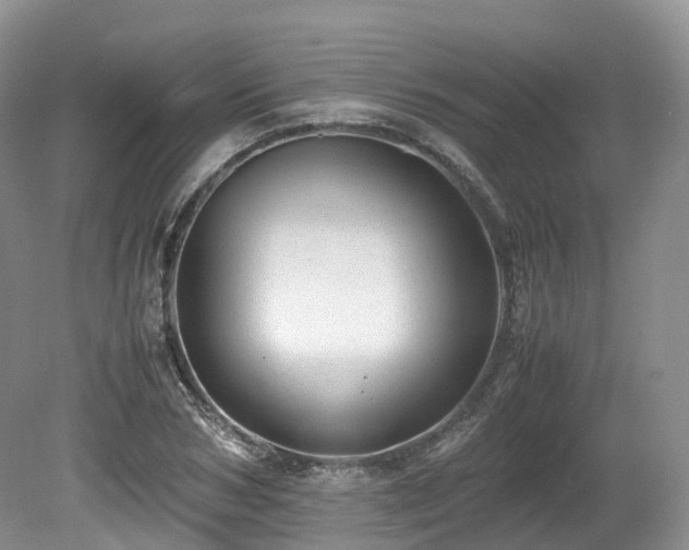 X0000080190978200612081423