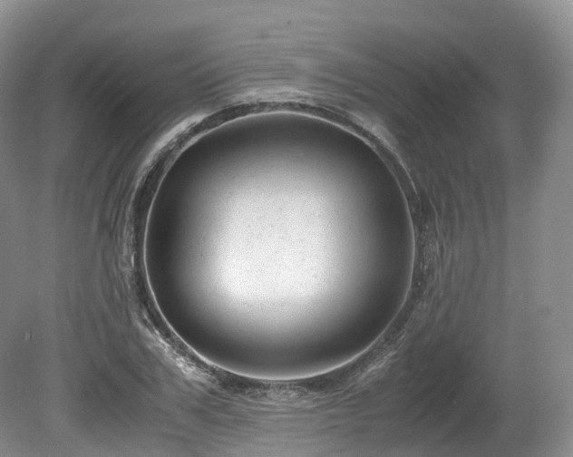 X0000080190979200612081423