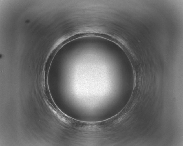 X0000080190982200612081423