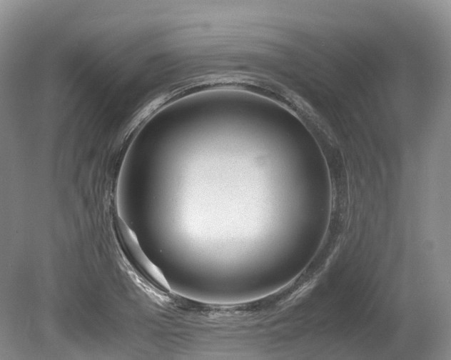 X0000080190985200612081423