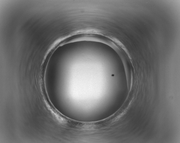X0000080190989200612081423