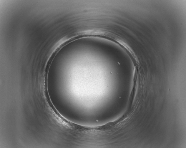 X0000080190992200612081422