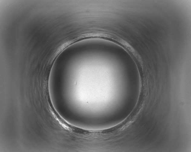 X0000080190993200612081422