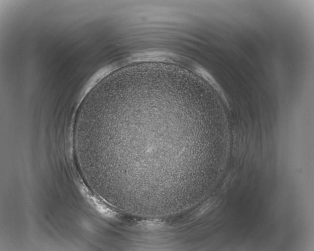 X0000080190994200612081422