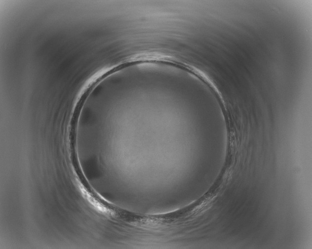 X0000080190995200612081422