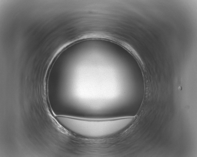 X0000080190996200612081422