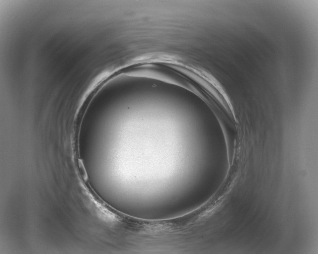 X0000080190997200612081422