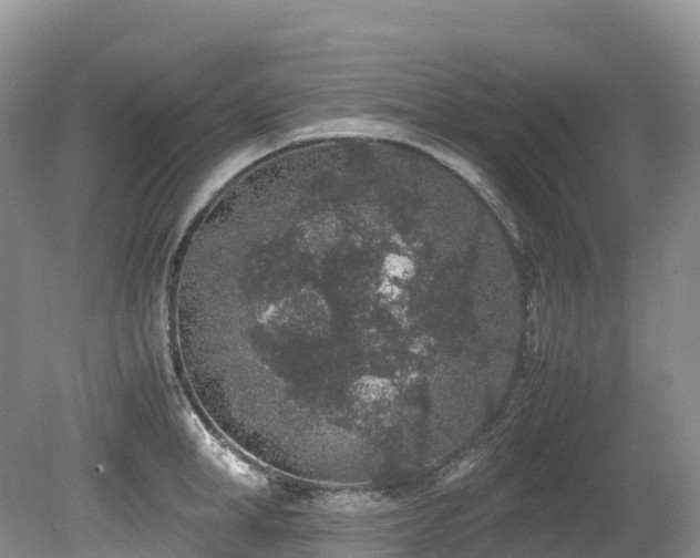 X0000080190998200612081422