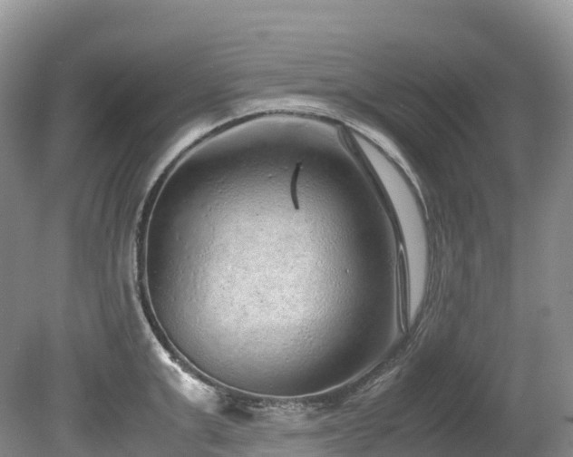 X0000080190999200612081422