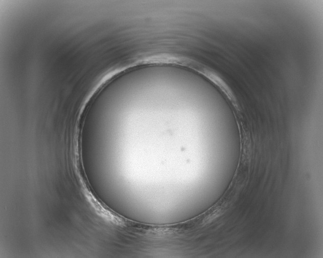 X0000080191000200612081422