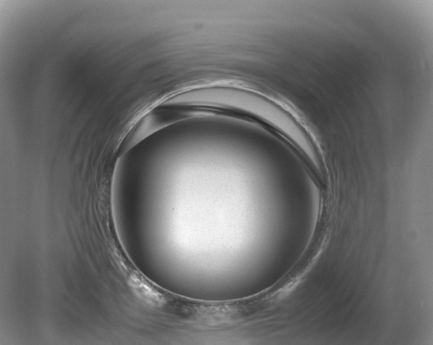 X0000080191001200612081422
