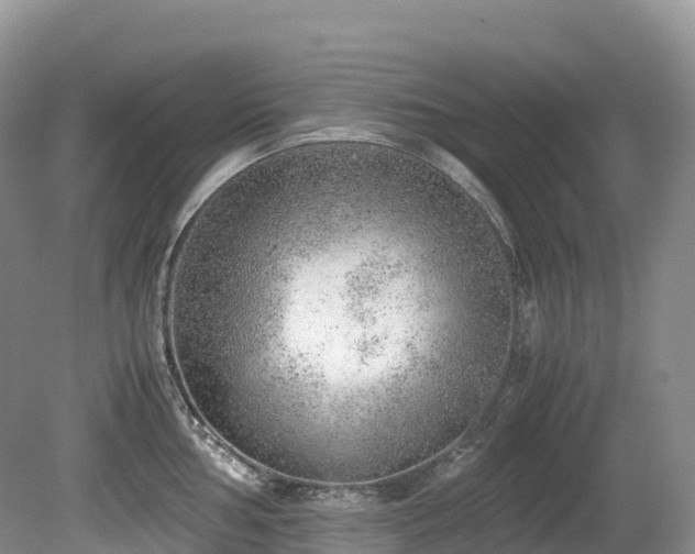 X0000080191002200612081422