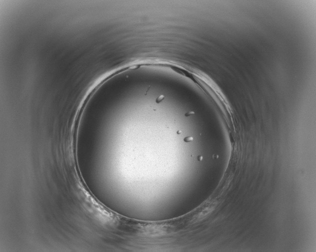 X0000080191004200612081422