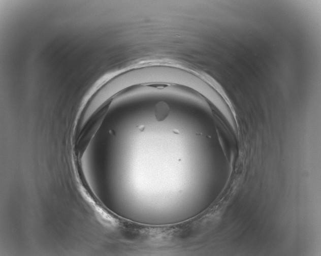 X0000080191005200612081422