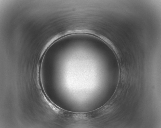 X0000080191006200612081422