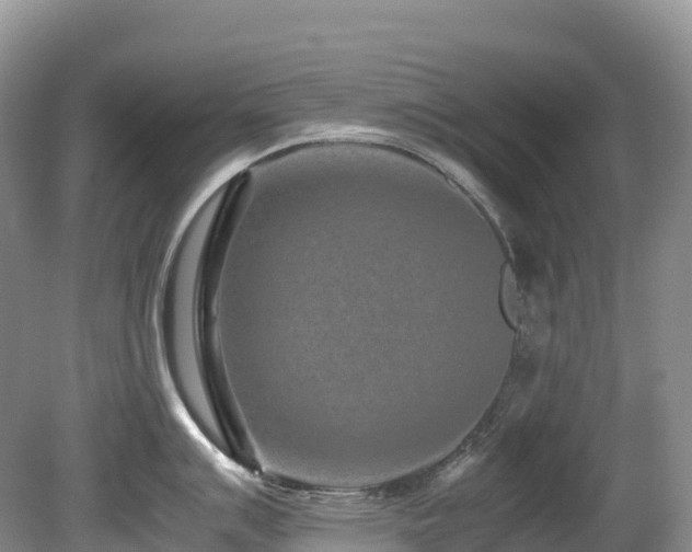 X0000080191007200612081422