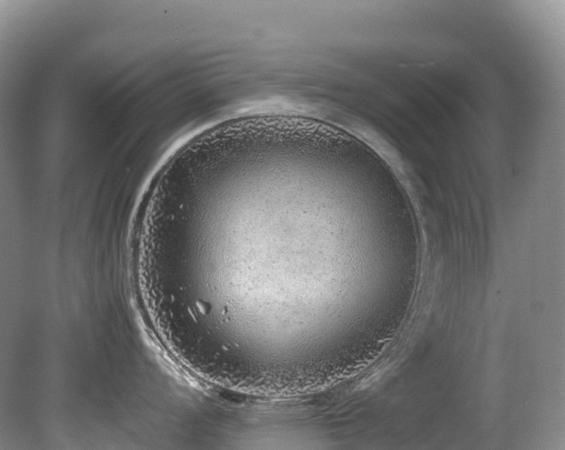 X0000080191008200612081422