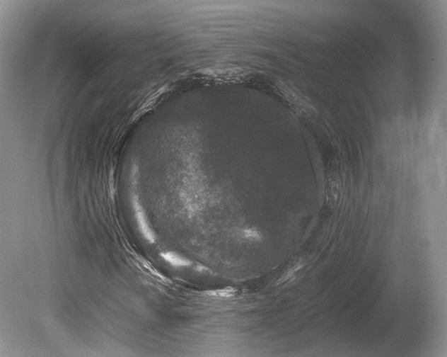 X0000080191010200612081421