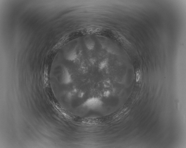 X0000080191011200612081421