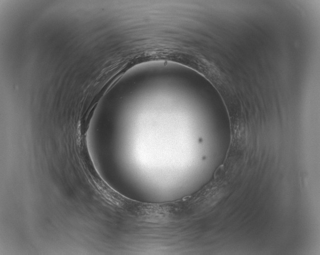 X0000080191012200612081421