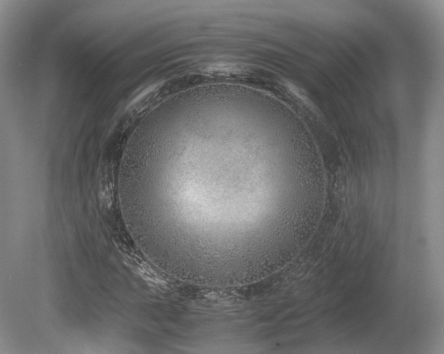 X0000080191015200612081421