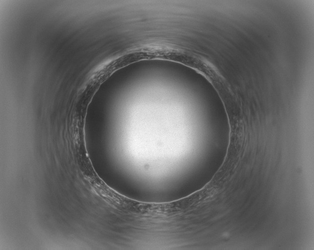 X0000080191016200612081421