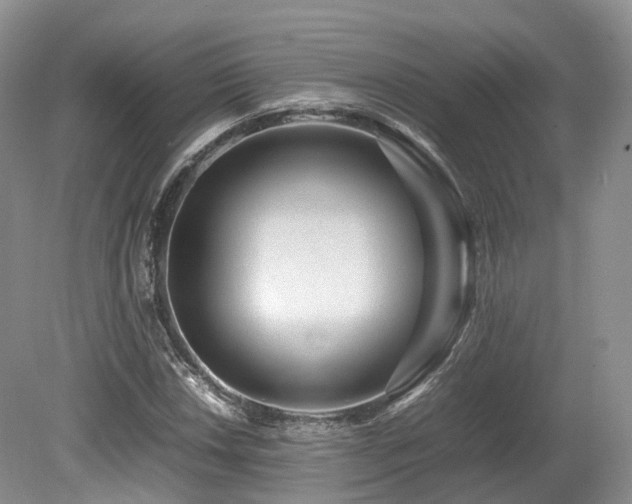 X0000080191018200612081422