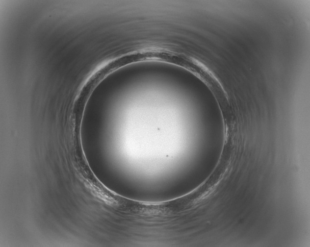 X0000080191021200612081422