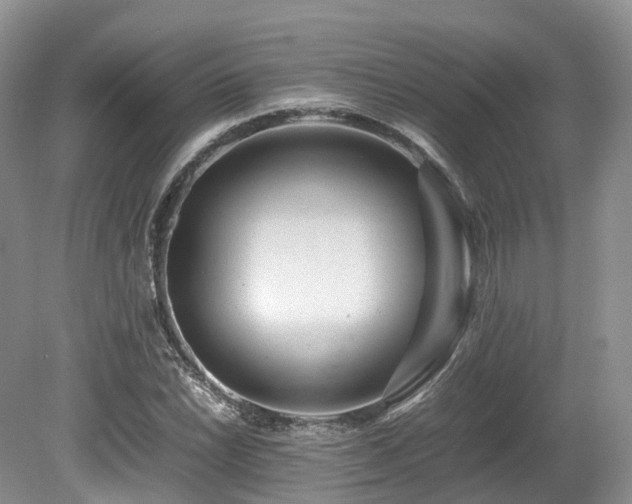 X0000080191022200612081422