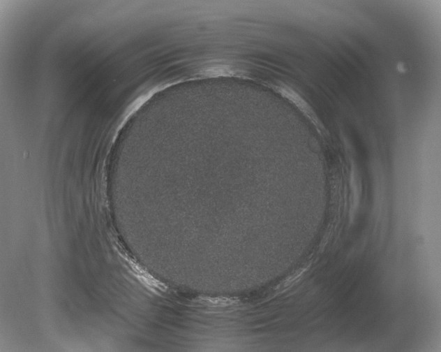 X0000080191023200612081422