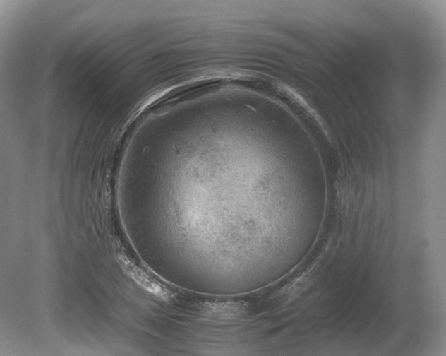 X0000080191025200612081422