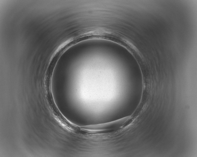 X0000080191026200612081422