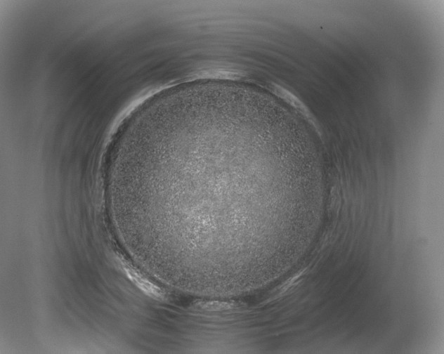 X0000080191027200612081422