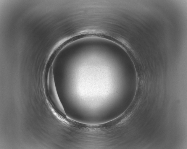 X0000080191030200612081422