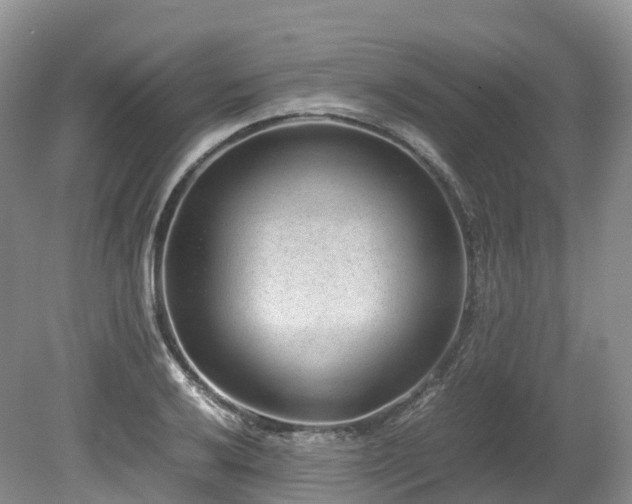 X0000080191032200612081422
