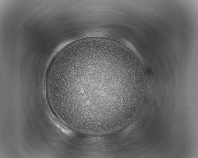 X0000080191035200612081422