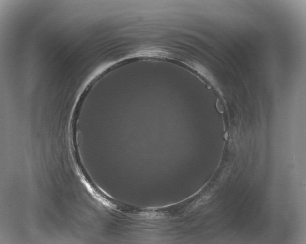 X0000080191037200612081422