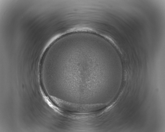 X0000080191038200612081422