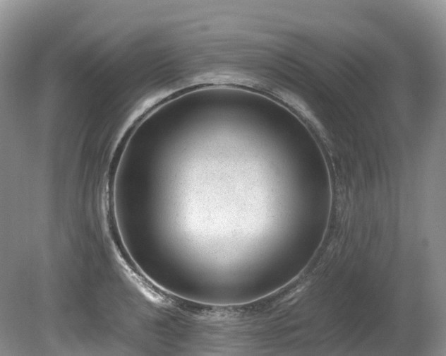 X0000080191040200612081422