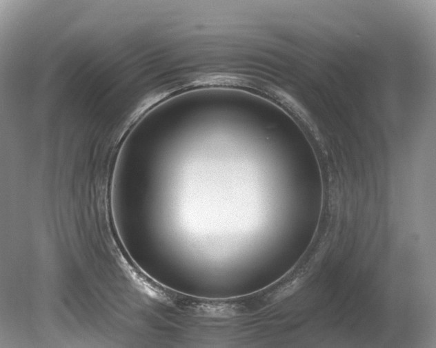 X0000080191041200612081422