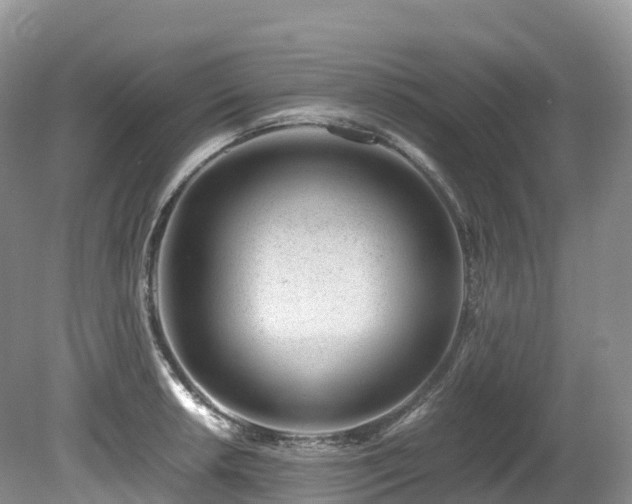 X0000080191042200612081422